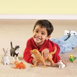 Learning Resources Jumbo Domestic Pets I Cat, Dog, Rabbit, Guinea Pig, Fish and Bird, 6 Animals