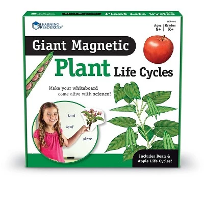 Learning Resources Giant Magnetic Plant Life Cycle, ages 5+ 5 Learning Resources Giant Magnetic Plant Life Cycle, ages 5+ - Image 5