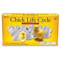 Learning Resources Chick Life Cycle Exploration Set -Vehicles & Remote Control Sales unnamed file 2503