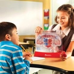 Learning Resources Pumping Heart Model, Science Model, Ages 8+