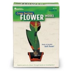 Learning Resources Cross-Section Flower Model, Ages 7+ -Vehicles & Remote Control Sales unnamed file 2553