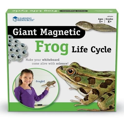 Learning Resources Giant Magnetic Frog Life Cycle, Ages 5+ 2 Learning Resources Giant Magnetic Frog Life Cycle, Ages 5+ - Image 2