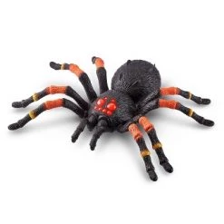 Robo Alive Giant Tarantula Robotic Toy by ZURU -Vehicles & Remote Control Sales unnamed file 65