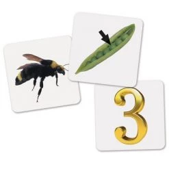 Learning Resources Rhyme/Sort Rockets Activity Set -Vehicles & Remote Control Sales unnamed file 717